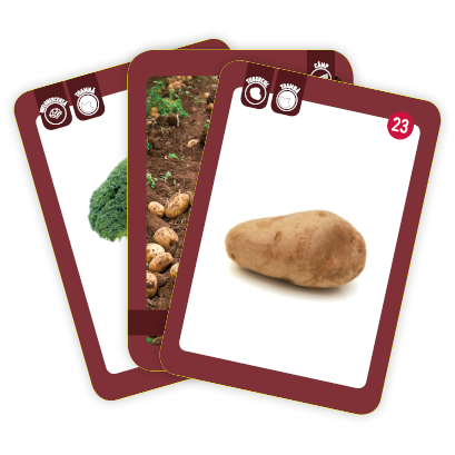 Unde cresc legumele? [5]