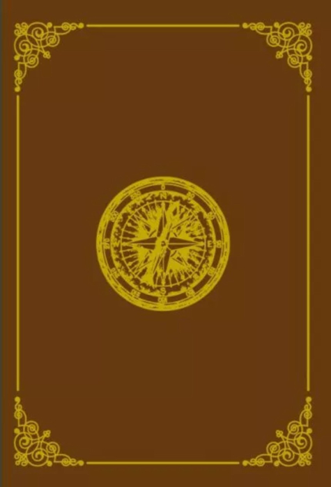 Volumul 60. Jules Verne. Familia fara nume [2]