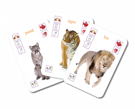 Educard Junior ANIMALELE [2]