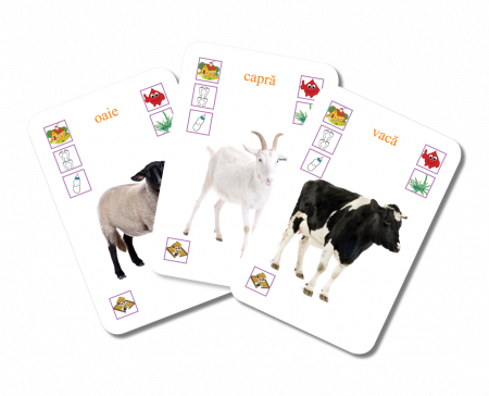 Educard Junior ANIMALELE [4]