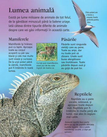 Prima mea enciclopedie despre animale (Usborne) [2]