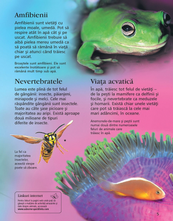 Prima mea enciclopedie despre animale (Usborne) [3]