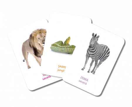 EDUCARD JUNIOR Primele cuvinte [5]