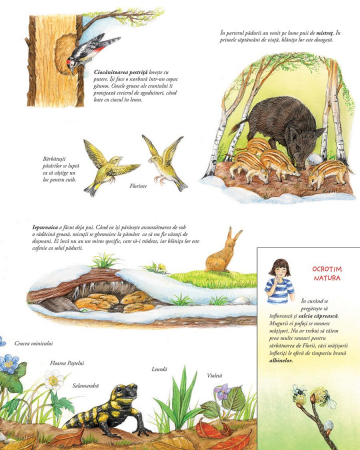 In mijlocul naturii! Descopera cele patru anotimpuri. [2]