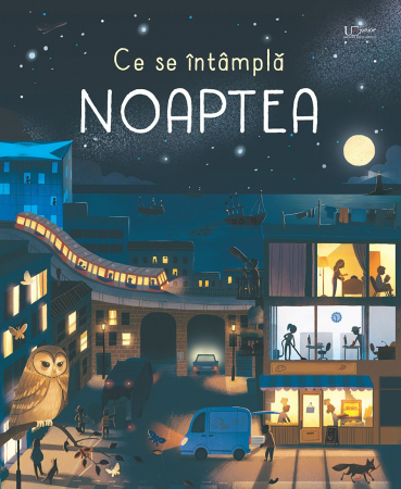 CĂRȚI - Ce se intampla noaptea? (Usborne)