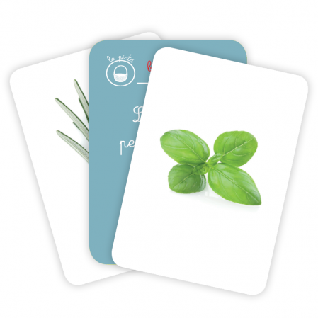 CĂRŢI DE JOC MONTESSORI. Lumea plantelor [2]