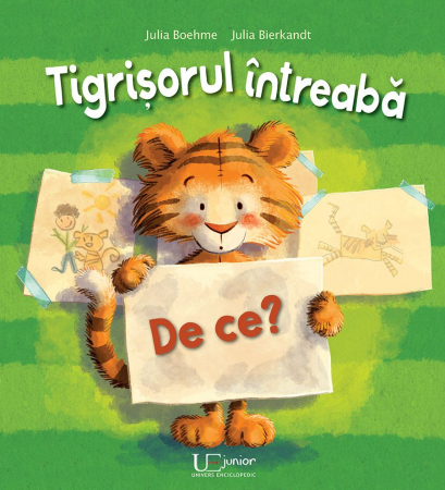 Citire/Poveşti - Tigrisorul intreaba: De ce?