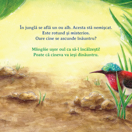 Ajuta-ma sa invat culorile [1]