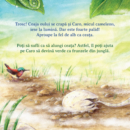 Ajuta-ma sa invat culorile [2]