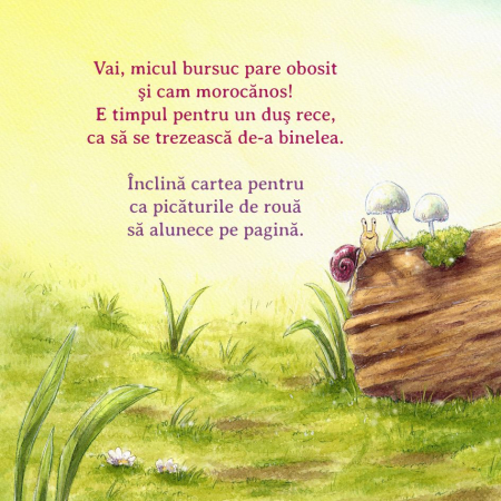 Ajuta-ma sa zambesc [4]