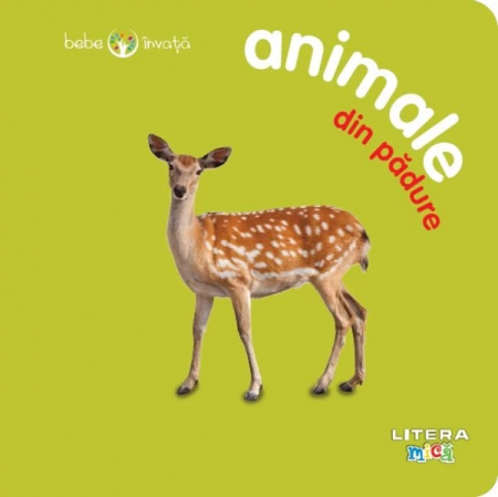 Bebe învaţă - Bebe învață: Animale din pădure