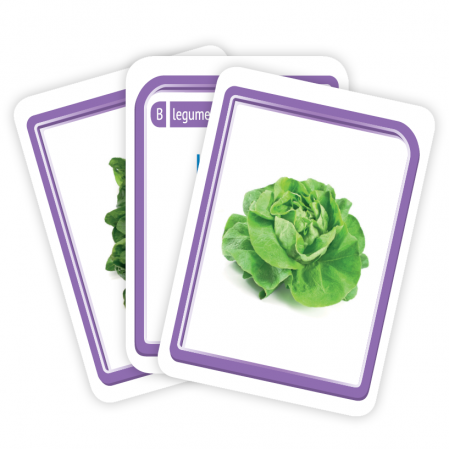 Bingoletto. Invat limba engleza. Fructe si legume [4]