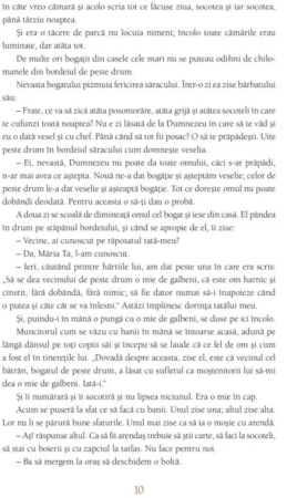 Când stăpânul nu-i acasă. Lecturi școlare [3]