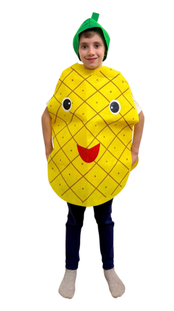 COSTUMATII TEMATICE - Costum din fetru copii fructe si legume Ananas
