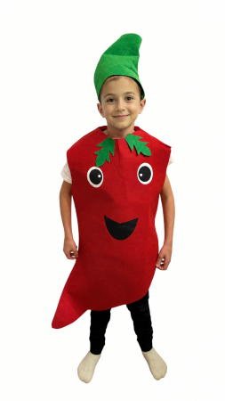 IDEI DE CADOURI - Costum din fetru copii fructe si legume Ardei rosu