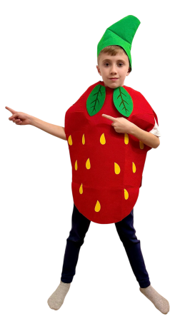 COSTUMATII TEMATICE - Costum din fetru copii fructe si legume Capsuna