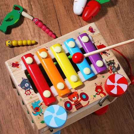 Cub Montessori din lemn pe roti cu activitati educative 18 luni+ [3]