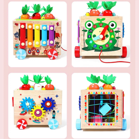 Cub Montessori din lemn pe roti cu activitati educative 18 luni+ [4]