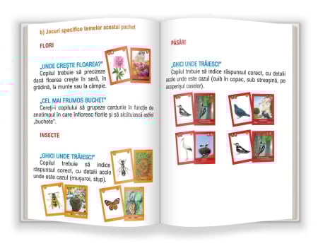 Flori, păsări și insecte [1]