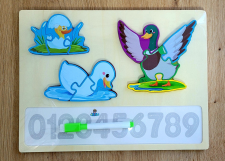 Jocuri Educative - Joc 2 in 1 din lemn Puzzle evolutia speciei RATA + Scrie si sterge cifrele
