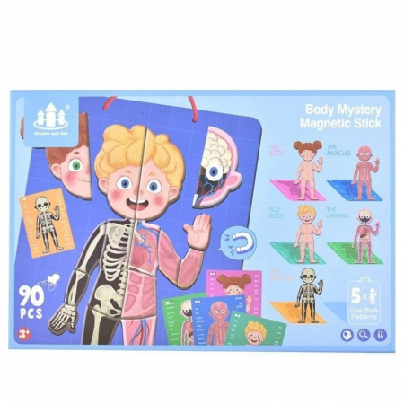 Jocuri Educative - Joc educativ tip puzzle magnetic corpul uman in straturi