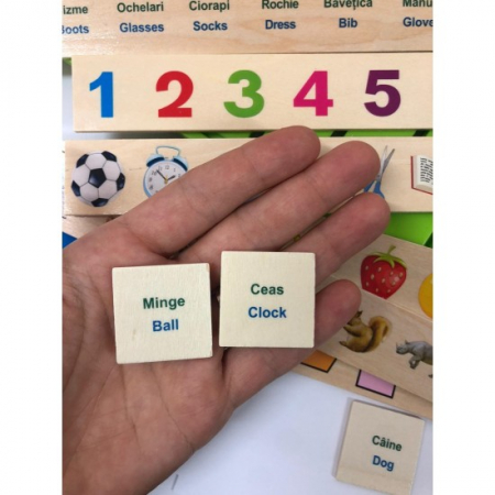 Joc Montessori de sortare și asociere imagini - Knowledge classification box în limba română [8]