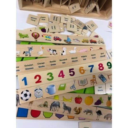 Joc Montessori de sortare și asociere imagini - Knowledge classification box în limba română [7]