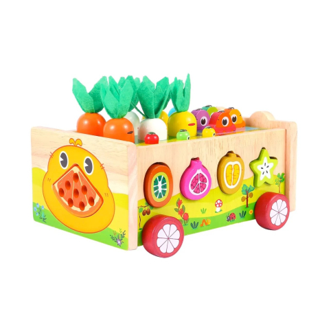 Joc Montessori din lemn de motricitate si indemanare Remorca cu activitati Frog Fishing Pull along Car [2]