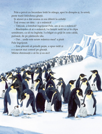 Pele, micul pinguin [3]
