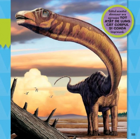 Prima mea carte despre dinozauri [2]