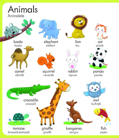 Primul meu dictionar englez-roman (Usborne) [2]