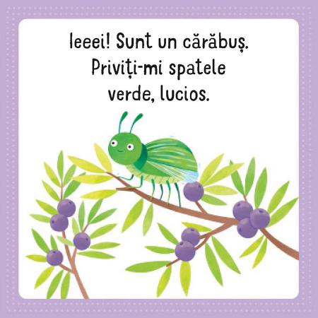 Primul meu puzzle cu carte. Insecte (Usborne) [3]