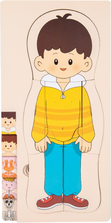 Puzzle din lemn în straturi Anatomia Corpului uman - BĂIAT [1]