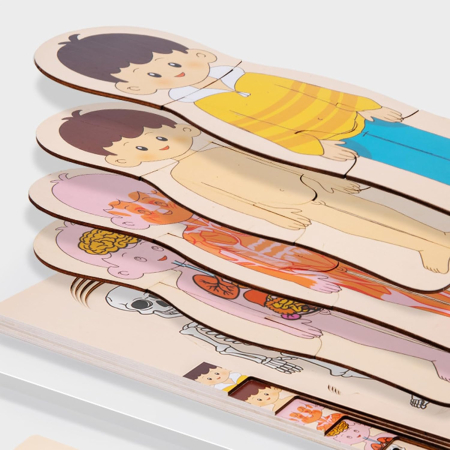 Puzzle din lemn în straturi Anatomia Corpului uman - BĂIAT [2]