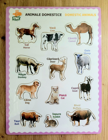 Puzzle incastru din lemn bilingv romana-engleza animale domestice
