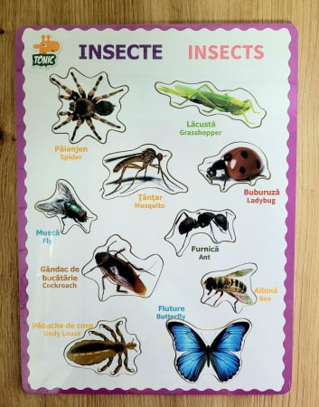 Puzzle incastru din lemn bilingv romana-engleza Insecte