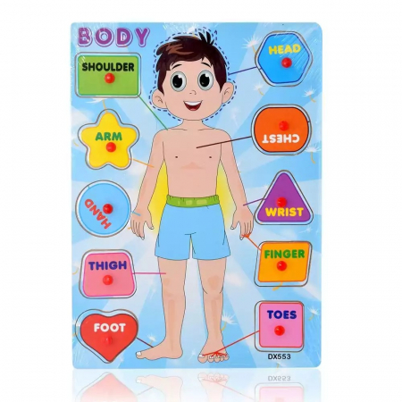 PROMOŢII - Puzzle incastru din lemn cu butoni partile corpului-corpul uman