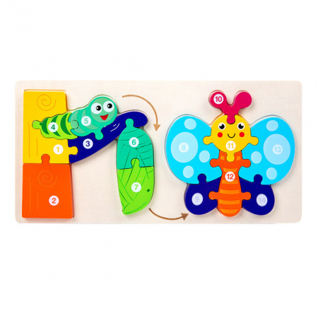 Jucării din lemn - Puzzle incastru din lemn in relief evolutia speciei FLUTURE