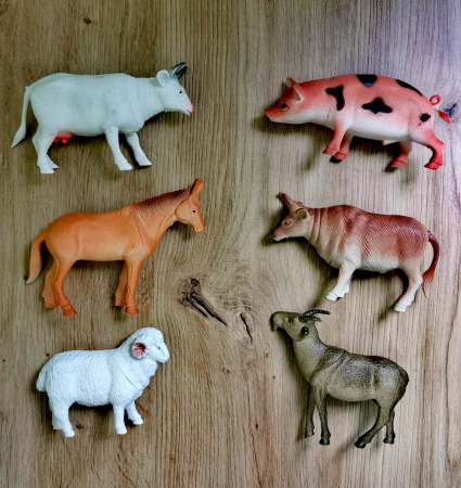 Jucării de rol - Set 6 figurine animale de la fermă 5