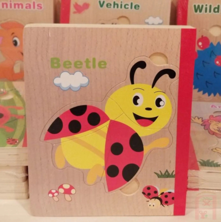 Set 6 puzzle din lemn de tip carte cu 4-6 piese mari Insecte [2]
