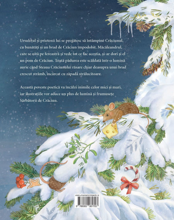 Un brad de Craciun pentru macaleandru [5]