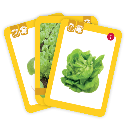 Unde cresc legumele? [3]