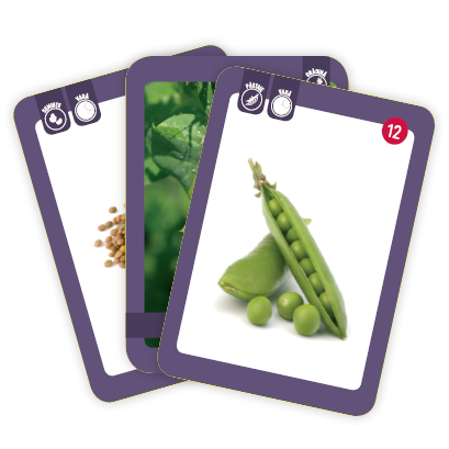 Unde cresc legumele? [2]