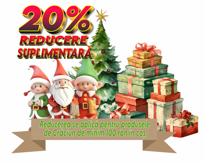 Reducere de iarna de 20% Craciun