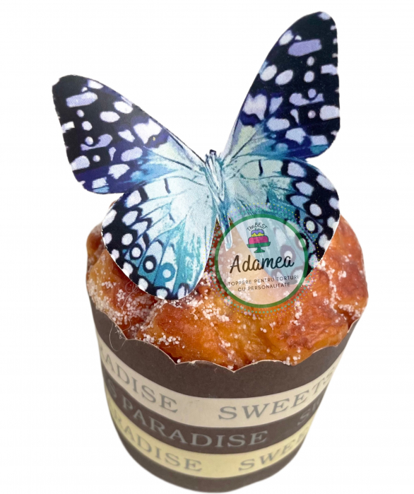 Topper de tort cu element special din carton sub forma defluturasi albastru cu bleu [2]