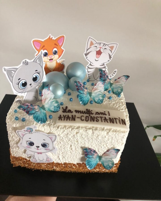 Decor de tort cu toppere din carton cu fluturi albastru turcoaz [2]