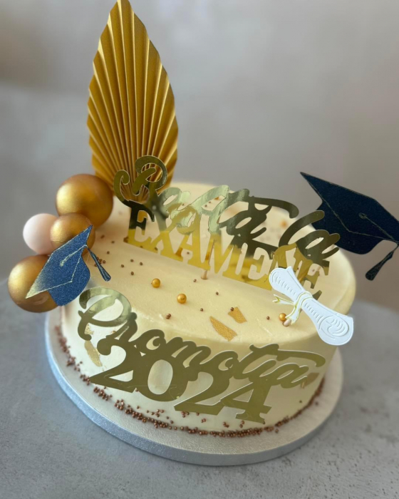 Toppere de tort din carton cu toca si diploma pentru finalul de an [3]