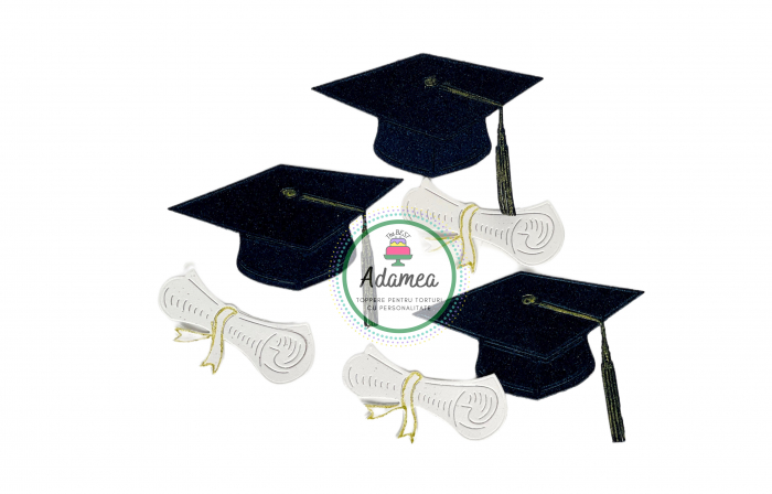 Toppere de tort din carton cu toca si diploma pentru finalul de an [4]