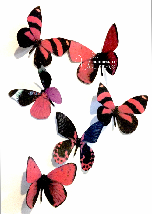 Set format din 6 fluturi cu roșu și negru [1]