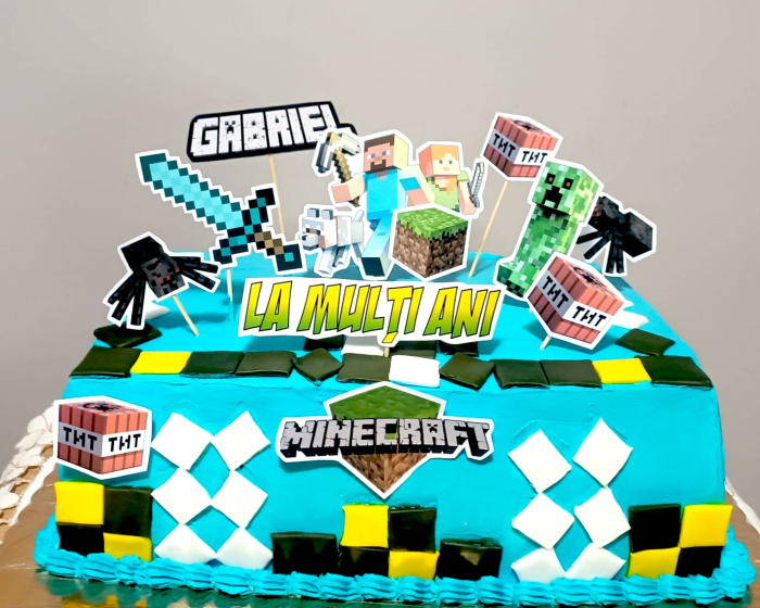 Suita de toppere din carton cu tematica Minecraft [19]